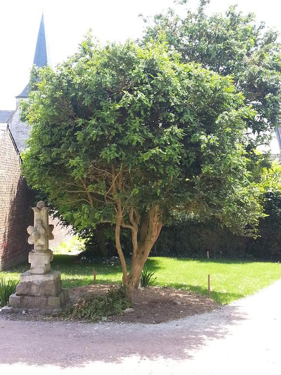 Les Loges D'Etretat Les Loges (Seine-Maritime) Exterior foto